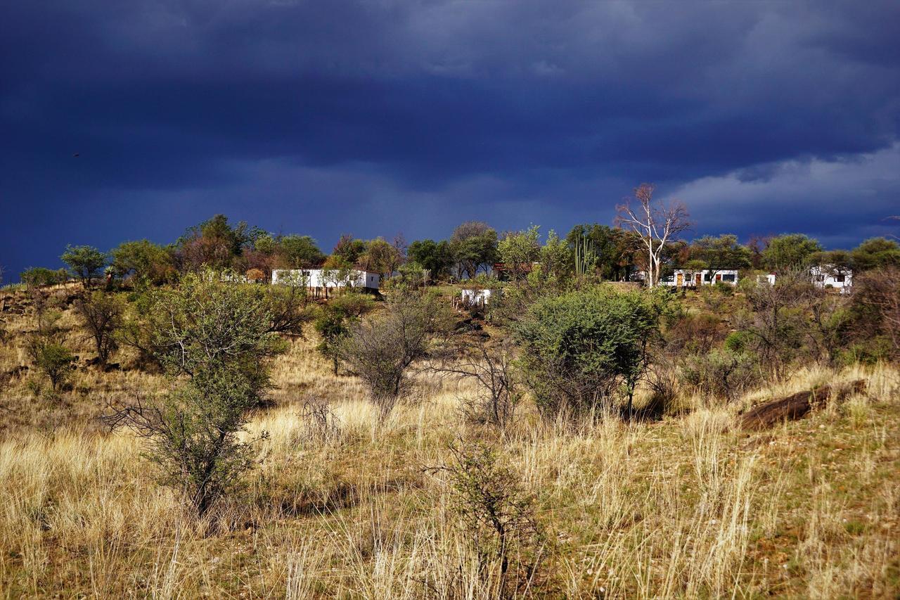 Halala Africa Lodge - Eagle Rock Lodge Malabar المظهر الخارجي الصورة
